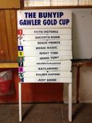 2013 Gawler Gold Cup - Box Draw 